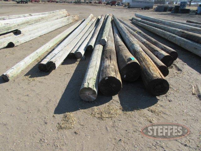 (15) Wood utility poles_0.JPG